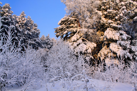 228328 (a): :3600x2400
